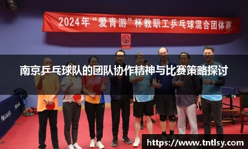 南京乒乓球队的团队协作精神与比赛策略探讨