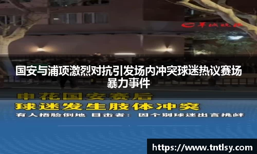 国安与浦项激烈对抗引发场内冲突球迷热议赛场暴力事件